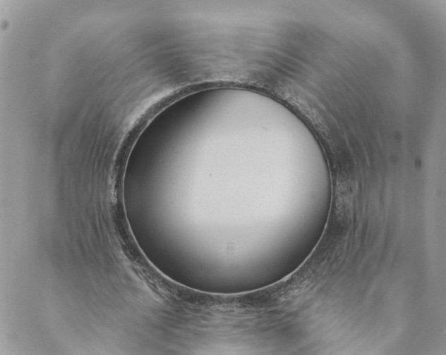 X0000089420628200706291033