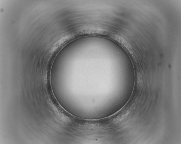 X0000089420629200706291033