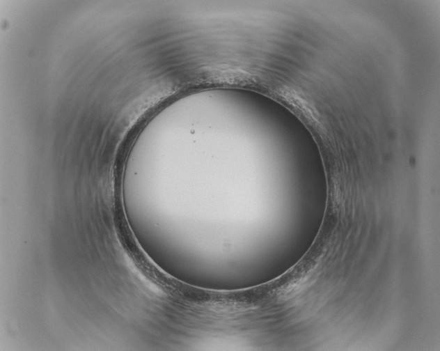 X0000089420630200706291034