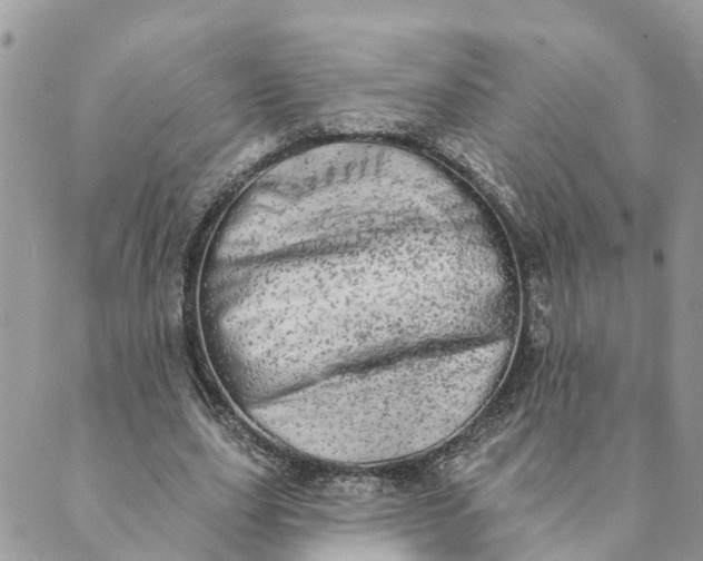 X0000089420631200706291034