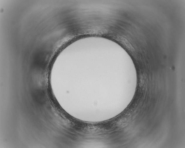 X0000089420632200706291034