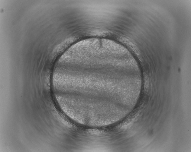 X0000089420633200706291034