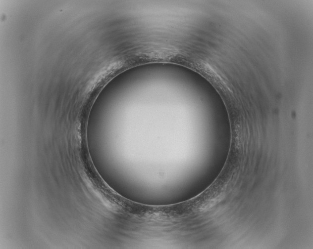 X0000089420634200706291034