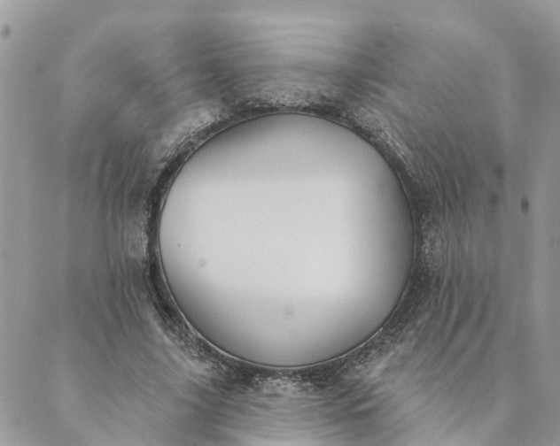 X0000089420635200706291034