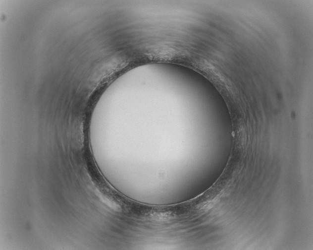 X0000089420638200706291034