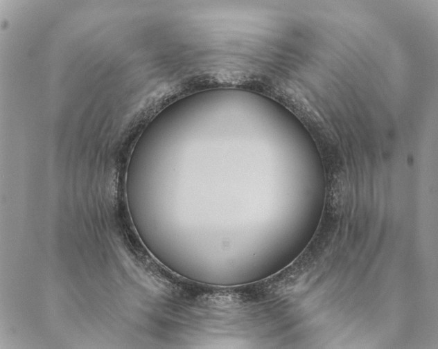 X0000089420639200706291034