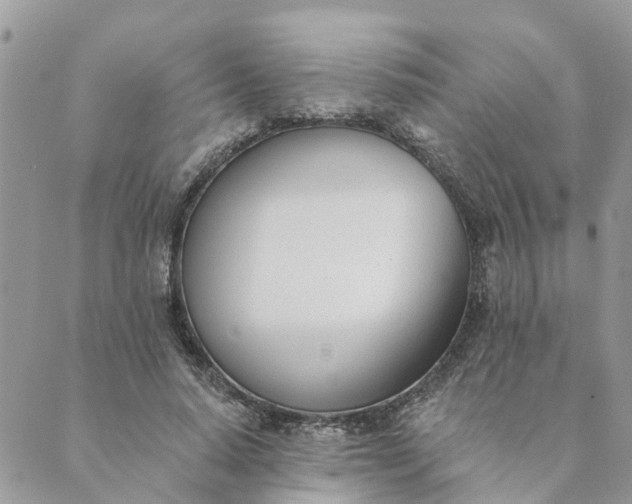 X0000089420640200706291034