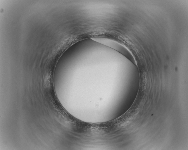 X0000089420641200706291034