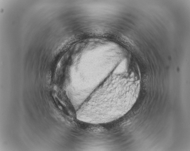 X0000089420642200706291034