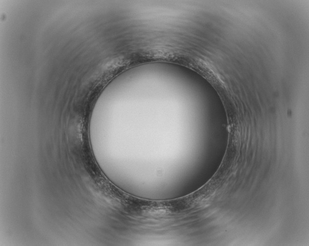 X0000089420643200706291034