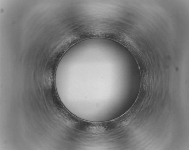 X0000089420644200706291034