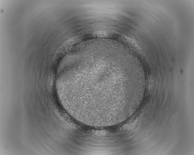 X0000089420645200706291034