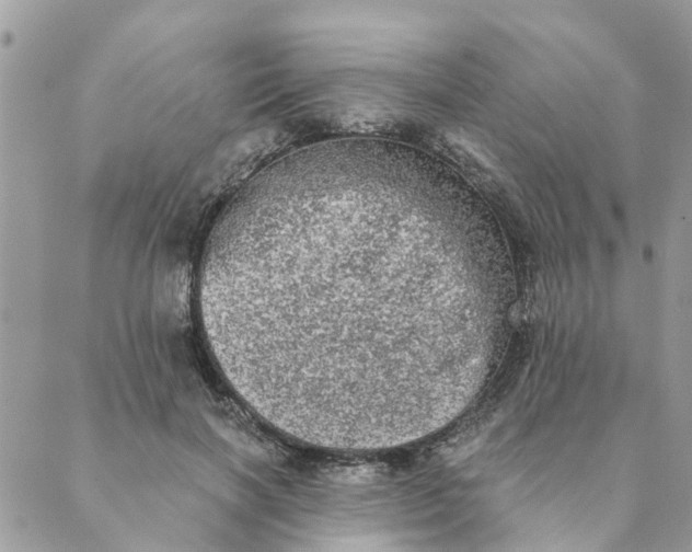 X0000089420646200706291034