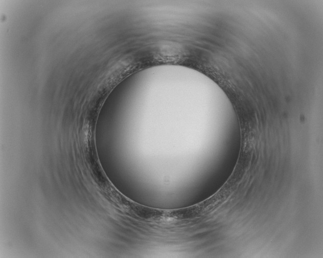 X0000089420647200706291034