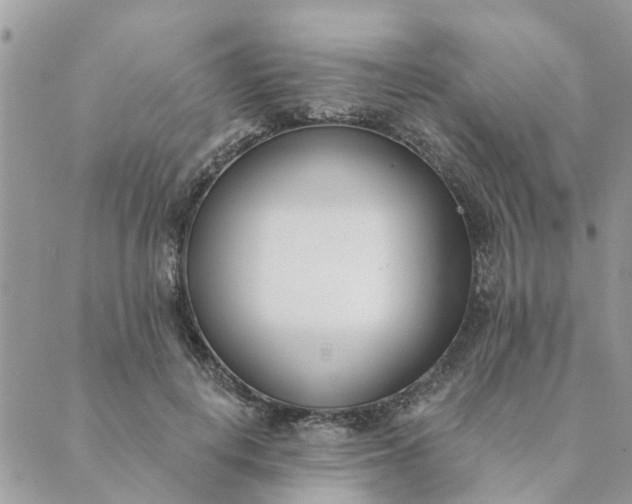 X0000089420648200706291034