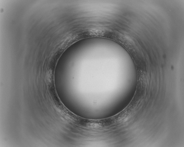 X0000089420649200706291034