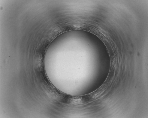 X0000089420651200706291034