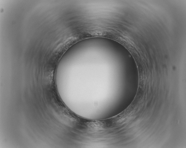 X0000089420652200706291034