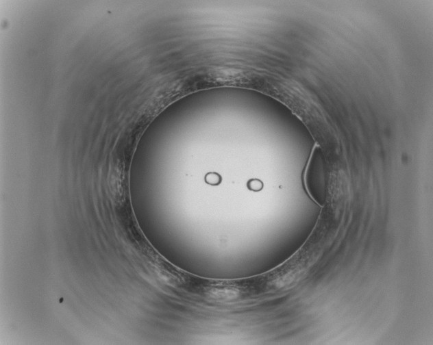 X0000089420653200706291034