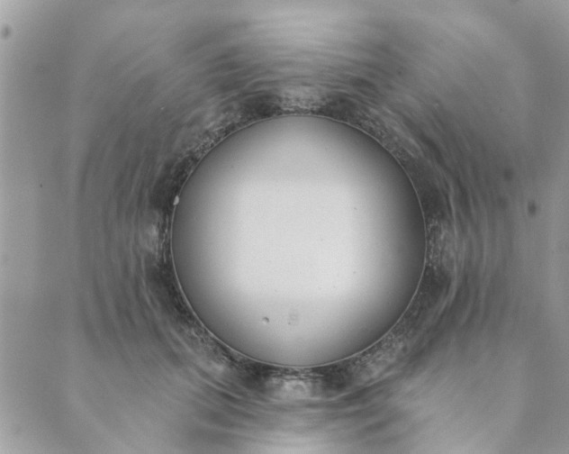 X0000089420655200706291034