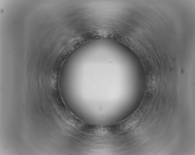 X0000089420656200706291034