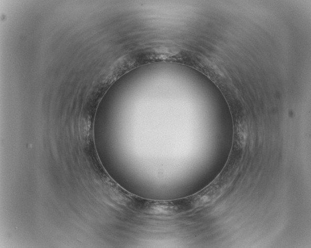 X0000089420657200706291034