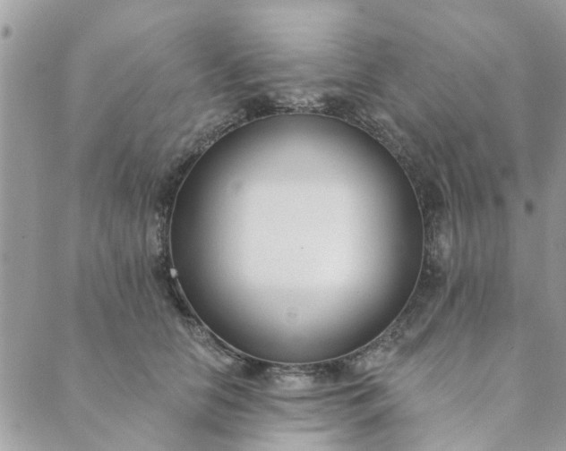 X0000089420658200706291034