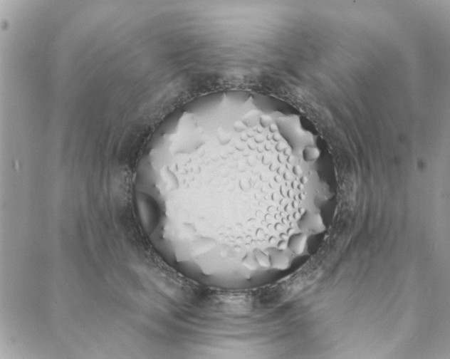 X0000089420659200706291034