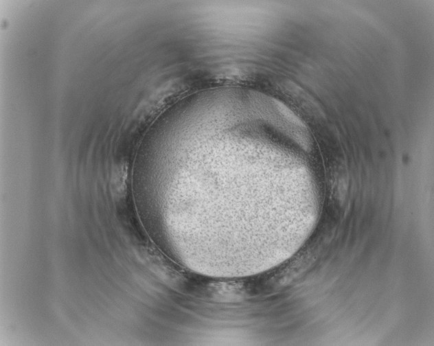 X0000089420660200706291034