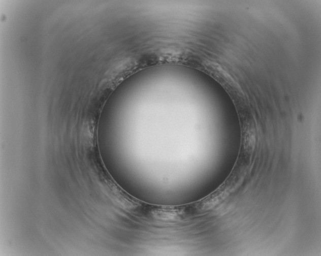 X0000089420661200706291034