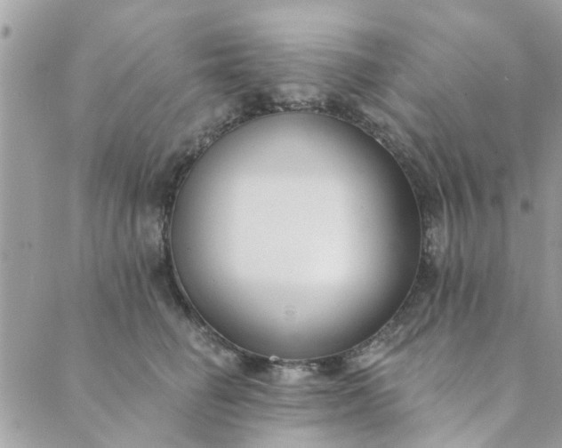 X0000089420662200706291034