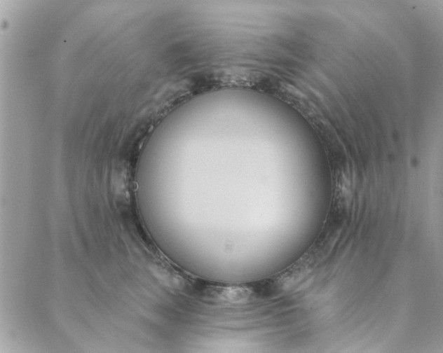 X0000089420663200706291034