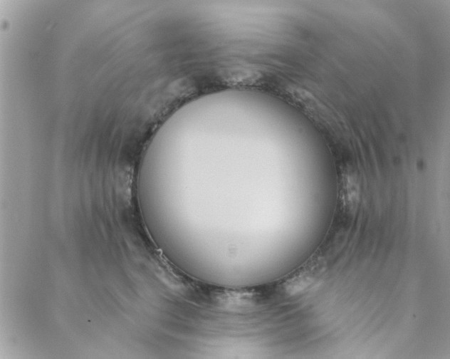 X0000089420664200706291034