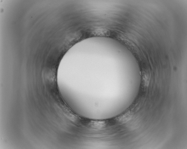 X0000089420665200706291034