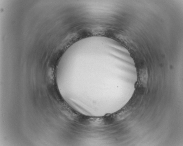 X0000089420667200706291034