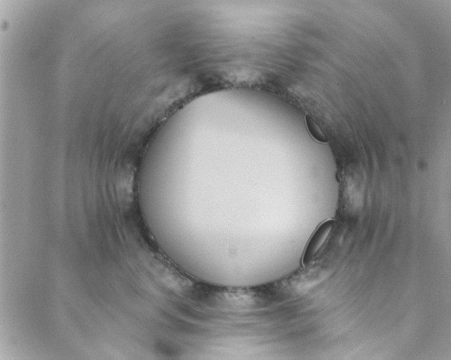 X0000089420668200706291034