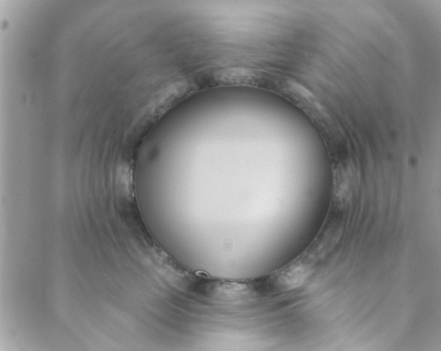 X0000089420669200706291034