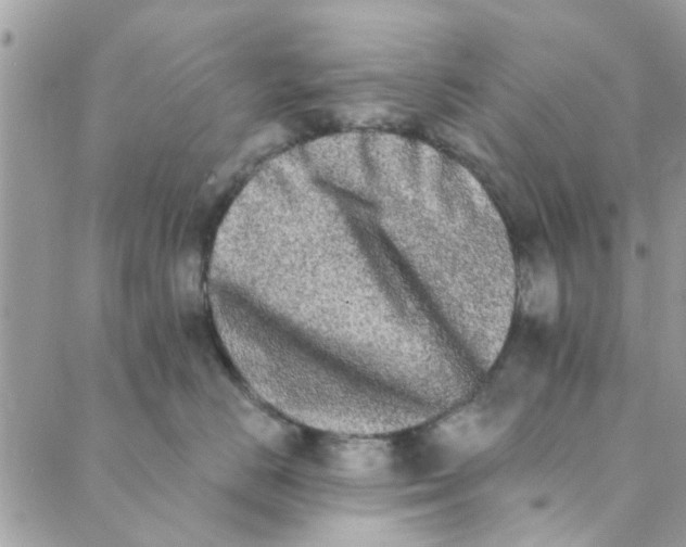 X0000089420670200706291034