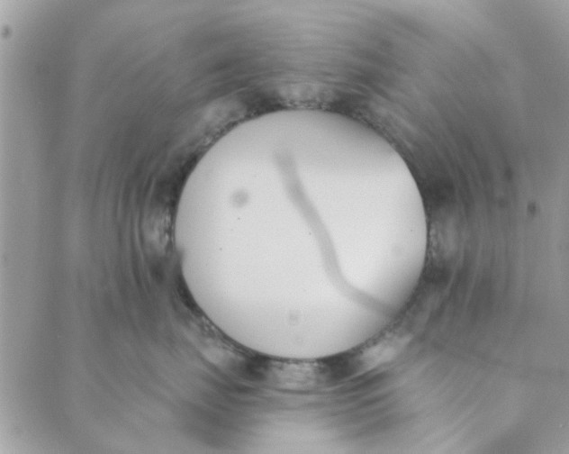 X0000089420671200706291034