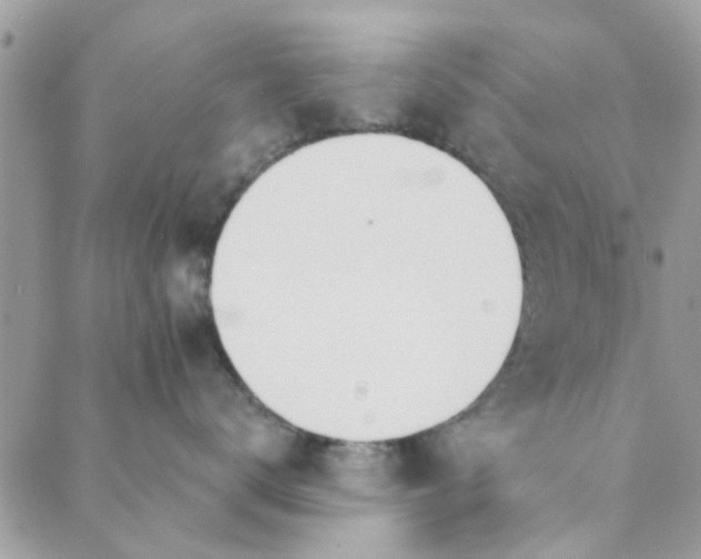 X0000089420672200706291034