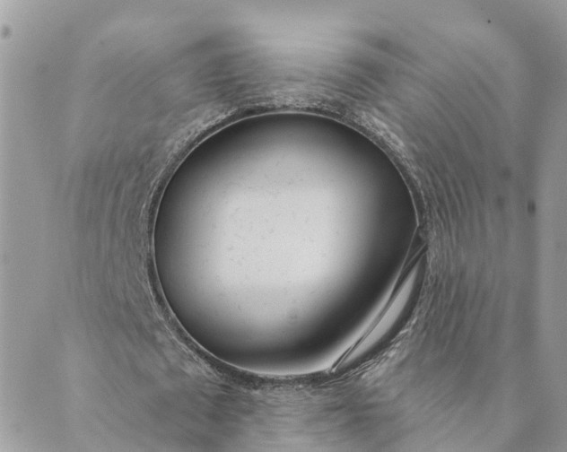 X0000089420673200706291033