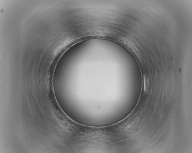 X0000089420675200706291033