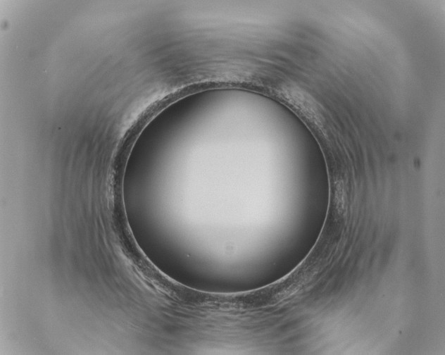 X0000089420676200706291033