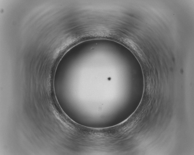 X0000089420677200706291033