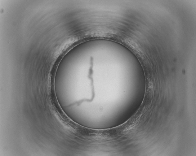 X0000089420678200706291033