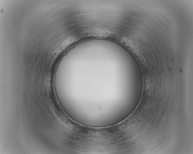 X0000089420679200706291033