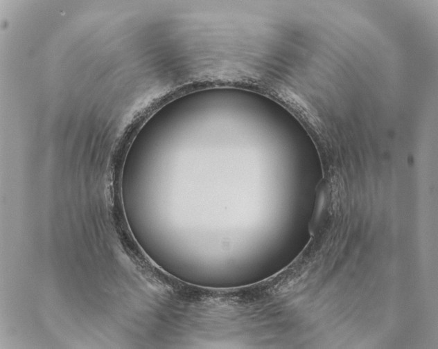 X0000089420680200706291033