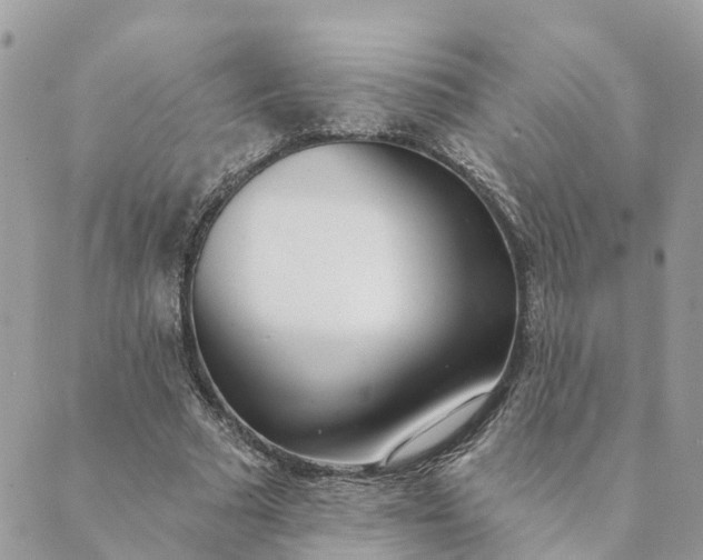 X0000089420681200706291033