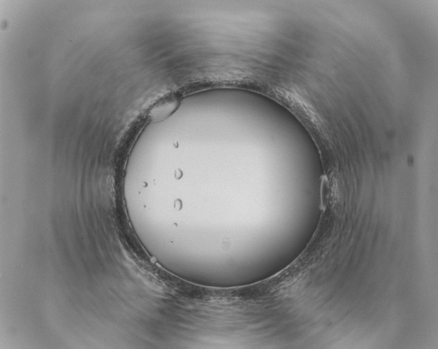 X0000089420684200706291033