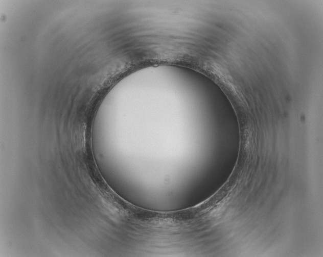 X0000089420685200706291033